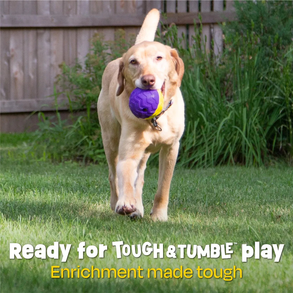 Tough & Tumble™ 2-Piece Treat Dispenser: Large Textured Ball
