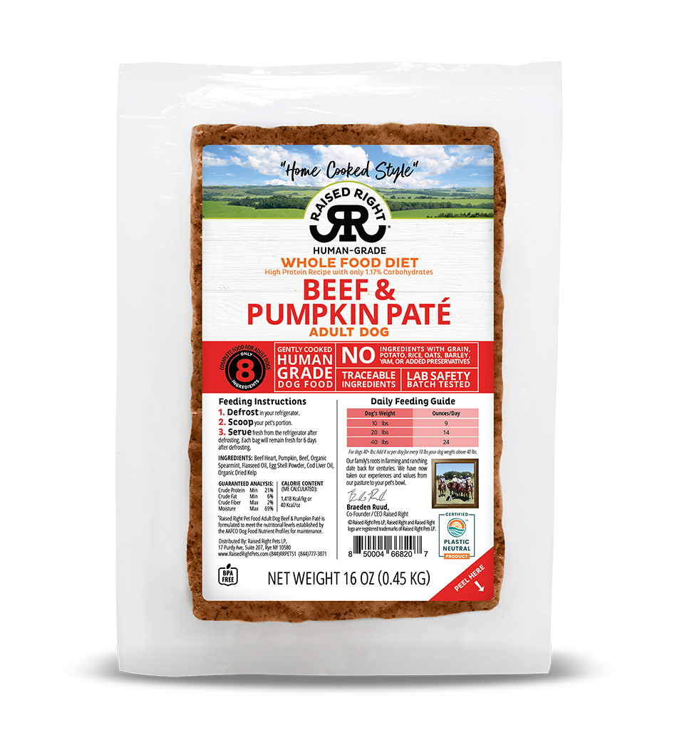 Raised Right Beef & Pumpkin Paté for Adult Dogs