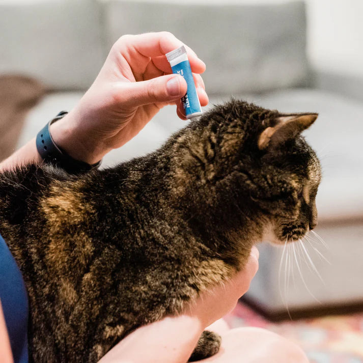 Wondercide Flea & Tick Spot On Treatment