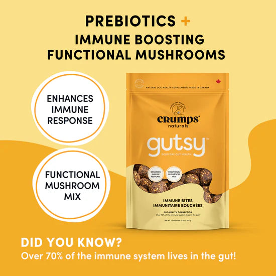 Gutsy Immune Bites
