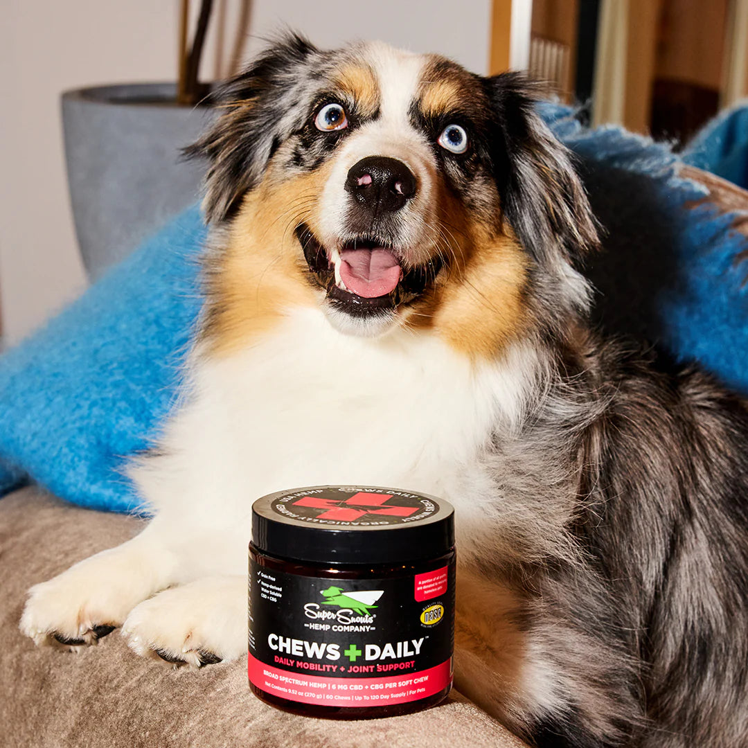 Super Snouts Chews Daily Mobility Support Hemp Chew