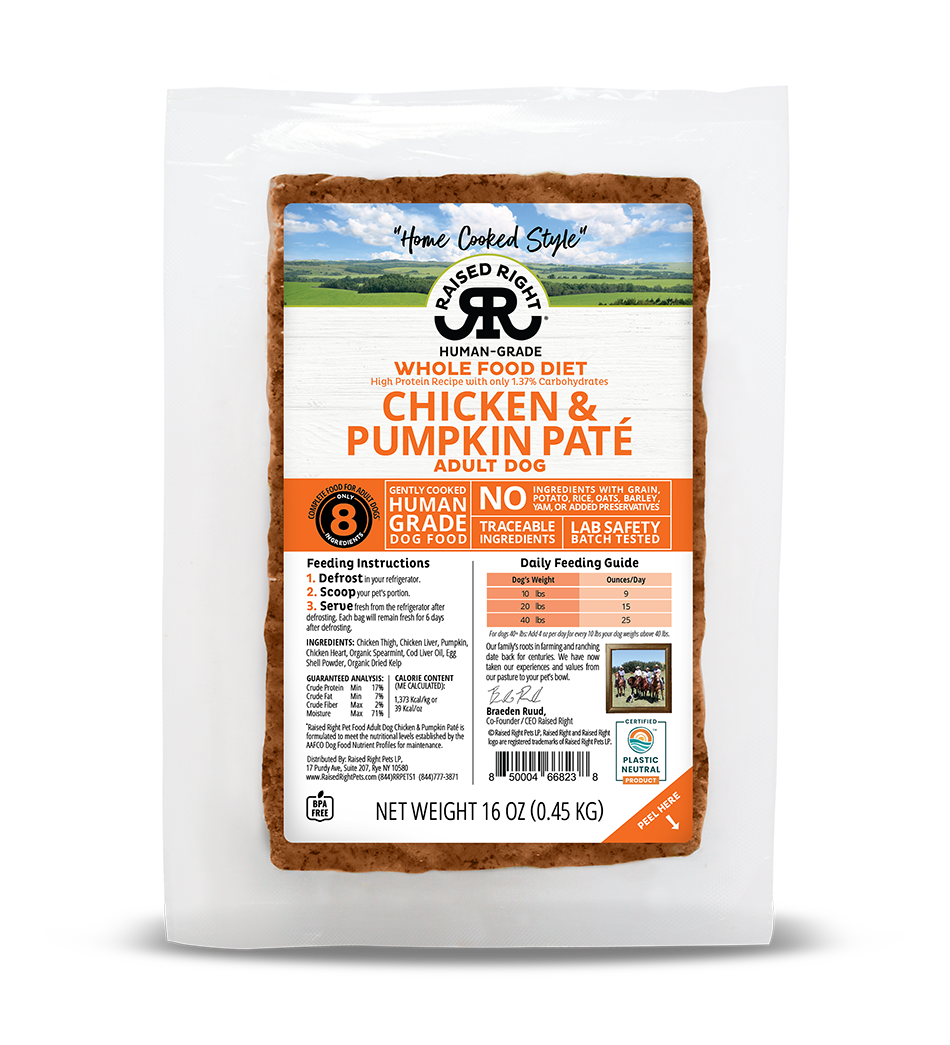 Raised Right Chicken & Pumpkin Paté for Adult Dogs