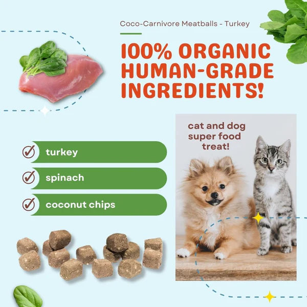 Coco-Carnivore Meatballs – Turkey + Spinach + Coconut