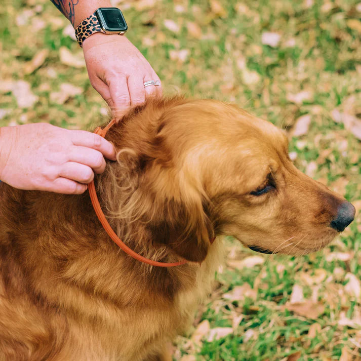 Wondercide Flea & Tick Collar for Dogs & Cats