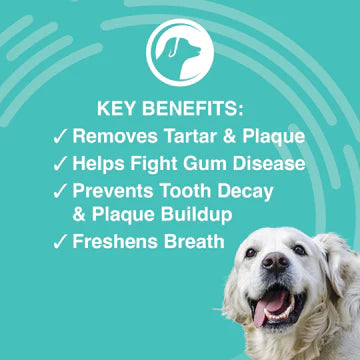 Nootie Antimicrobial Dental Wipes for Dogs