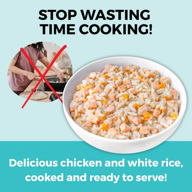 Koha Limited Ingredient Wet Bland Diet Chicken & White Rice Recipe for Dogs