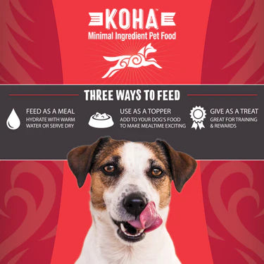Koha Freeze-Dried Raw Bites Beef Entrée for Dogs