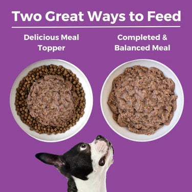 Koha Kangaroo Dog Food: Limited Ingredient Diet Kangaroo Entrée for Dogs