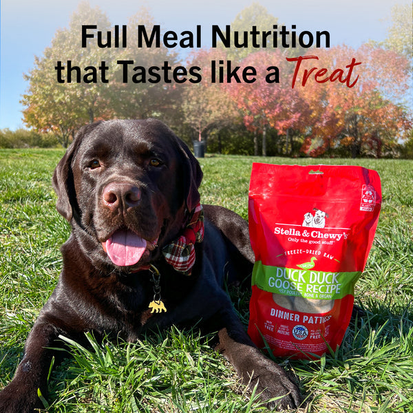 Duck Duck Goose Freeze-Dried Raw Dinner Patties for Dogs