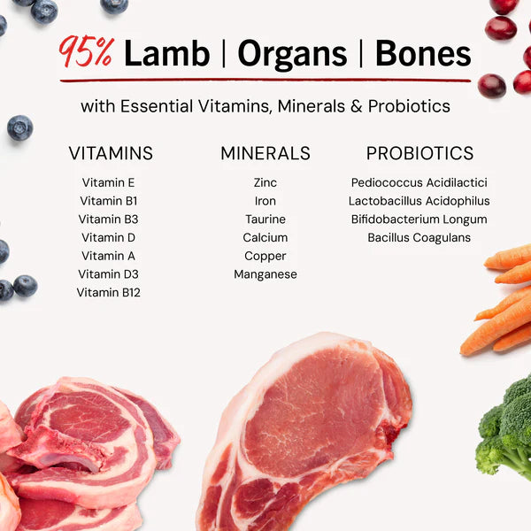 Dandy Lamb Freeze-Dried Raw Dinner Patties for Dogs