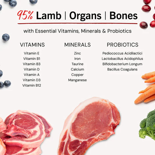 Dandy Lamb Freeze-Dried Raw Dinner Patties for Dogs