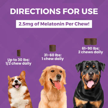 Progility Calming Aid Soft Chew Supplements For Dogs