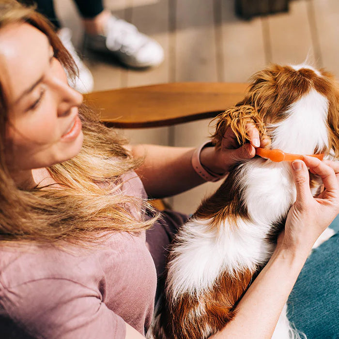 Wondercide Flea & Tick Collar for Dogs & Cats