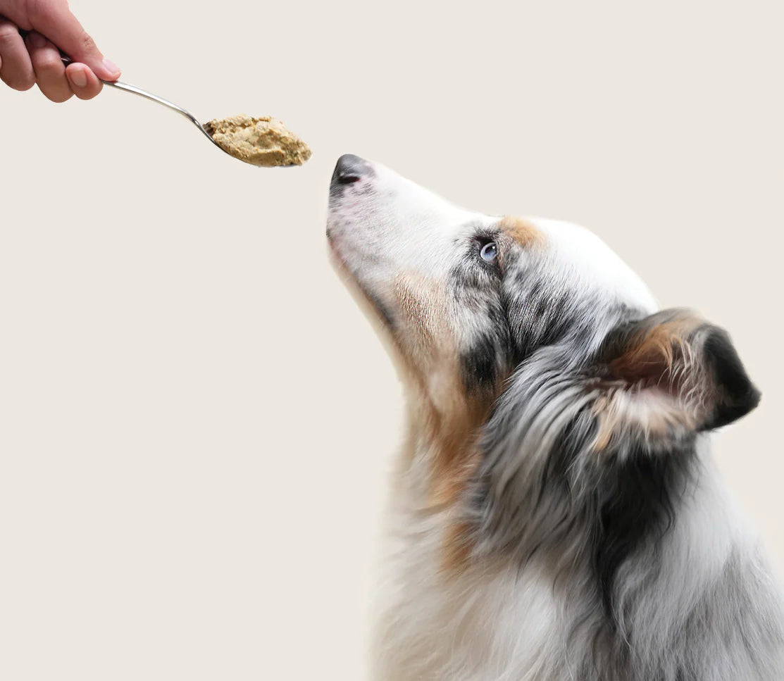 Open Farm Puppy Grain-Free Freshly Crafted Dog Food