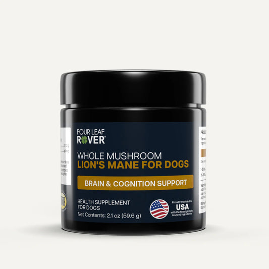 Lion's Mane - Organic Mushroom Extract