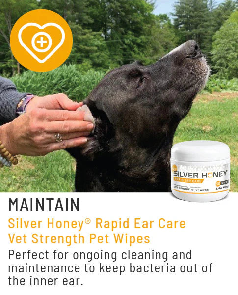 Rapid Ear Care Vet Strength Pet Wipes for Dogs and Cats