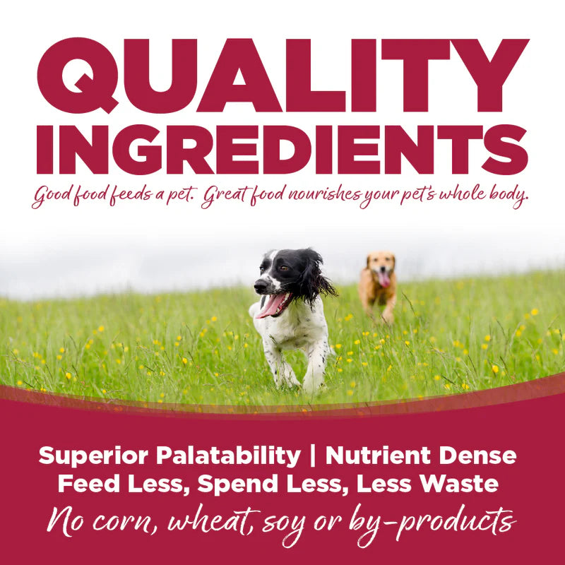 NutriSource® 12.3oz Chicken, Lamb & Ocean Fish Wet Dog Food