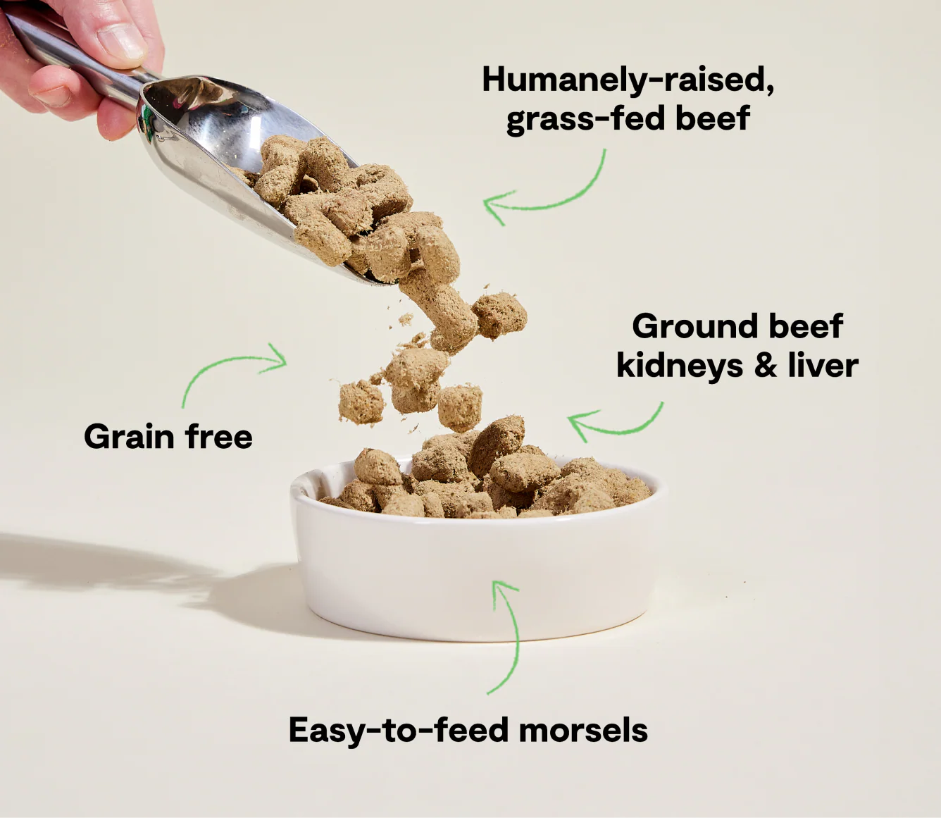 Open Farm Grass-Fed Beef Freeze Dried Raw Morsels for Dogs