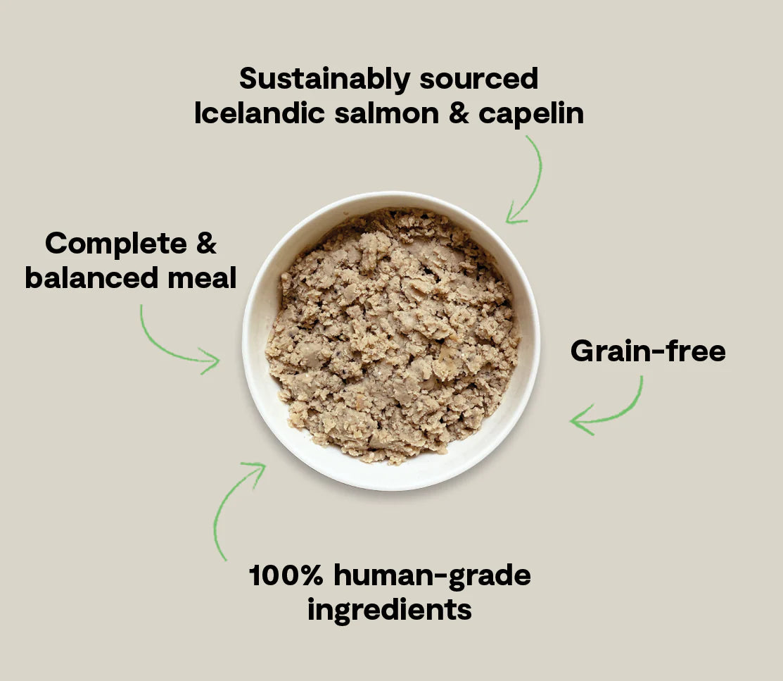 Open Farm Icelandic Salmon & Capelin Wet Food for Dogs
