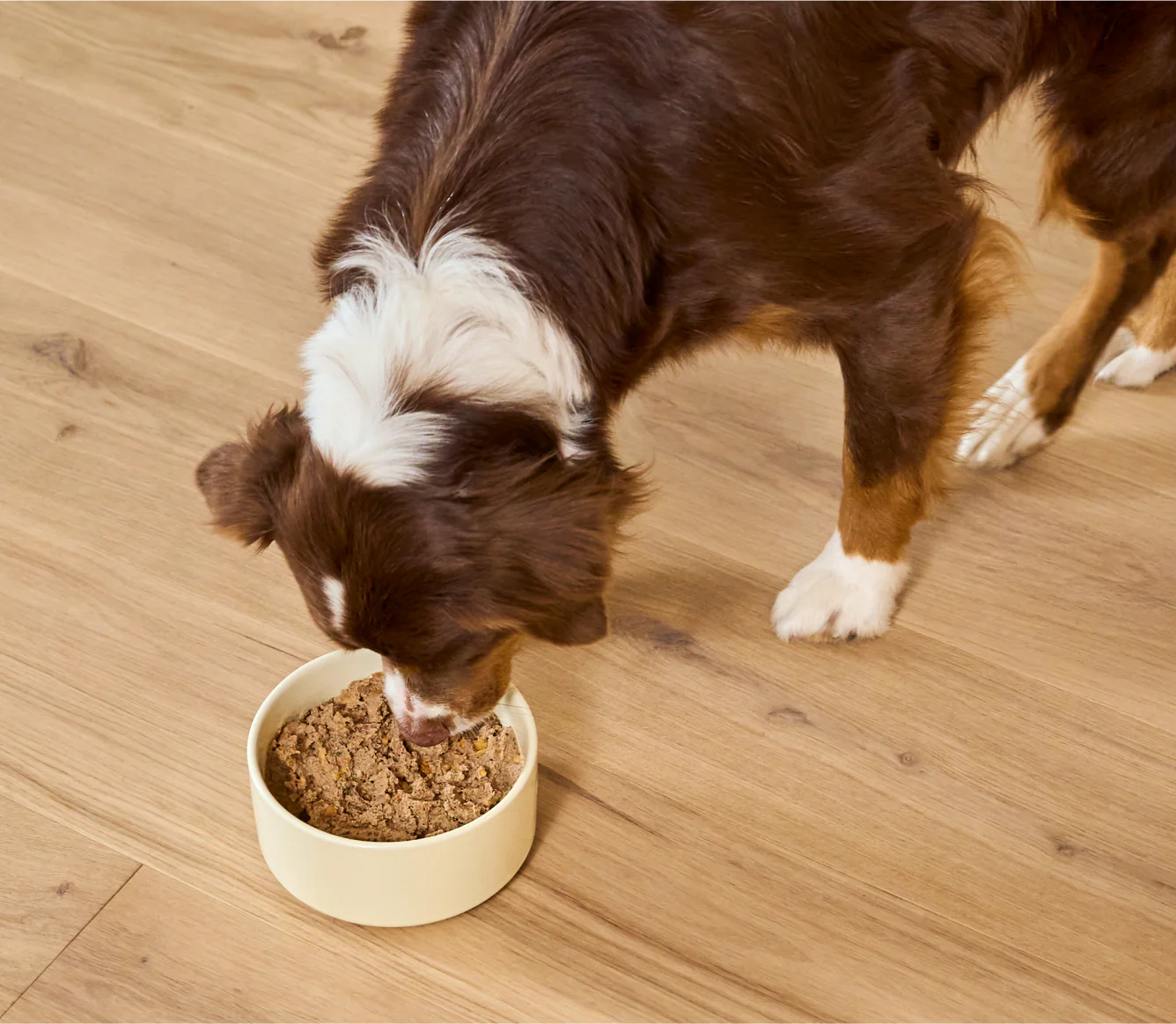Open Farm Chicken & Grass-Fed Beef Pâté for Dogs