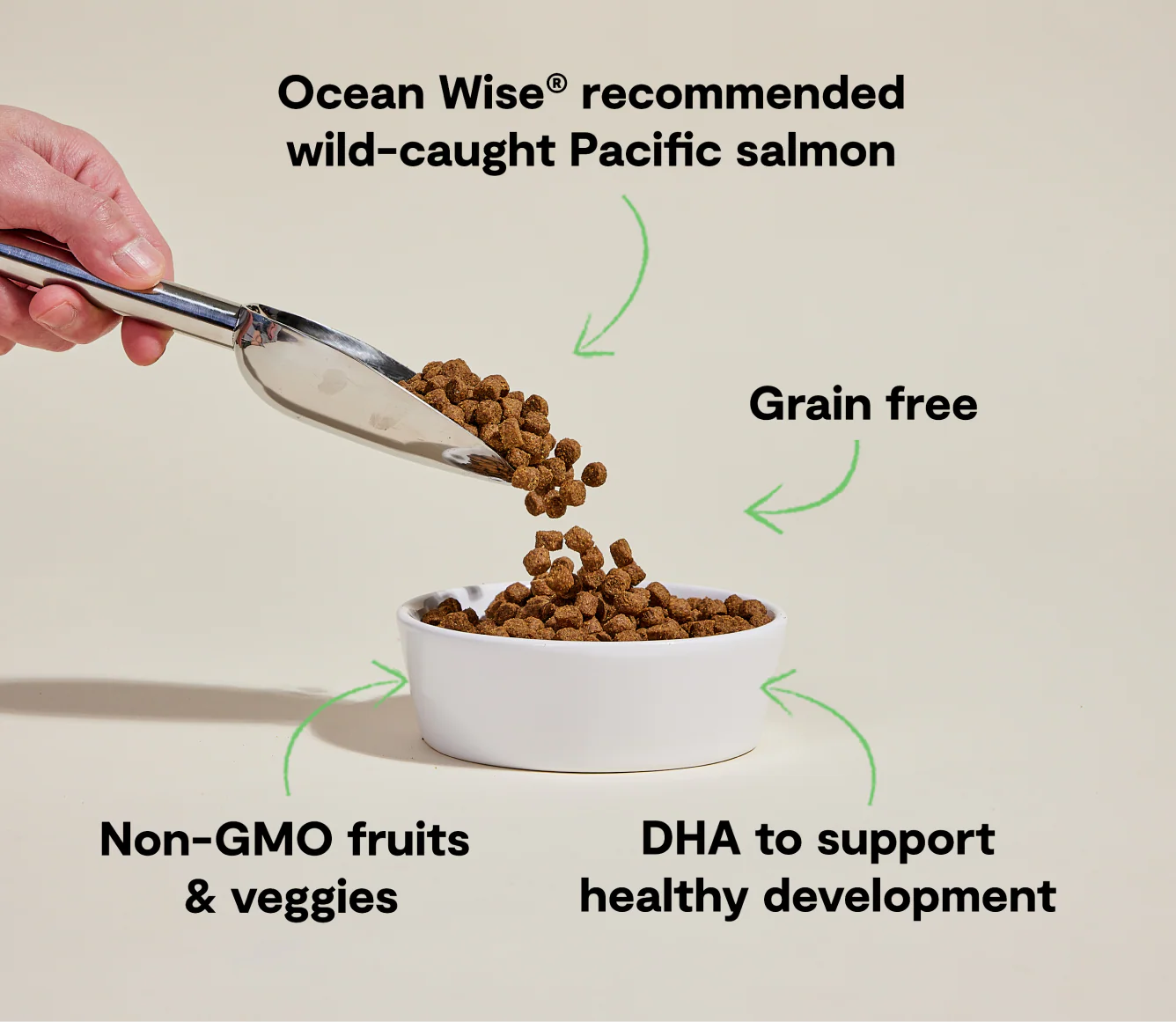 Open Farm Salmon Grain-Free Puppy Kibble