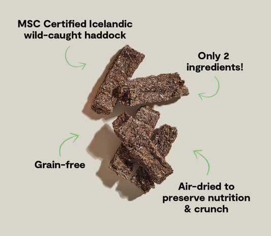 Open Farm Icelandic Air-Dried Pollock & Blueberry Dog Treat Bars
