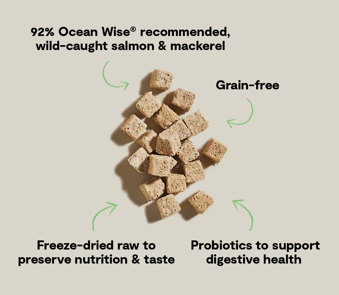 Open Farm Surf & Turf Kitty Cube Treats