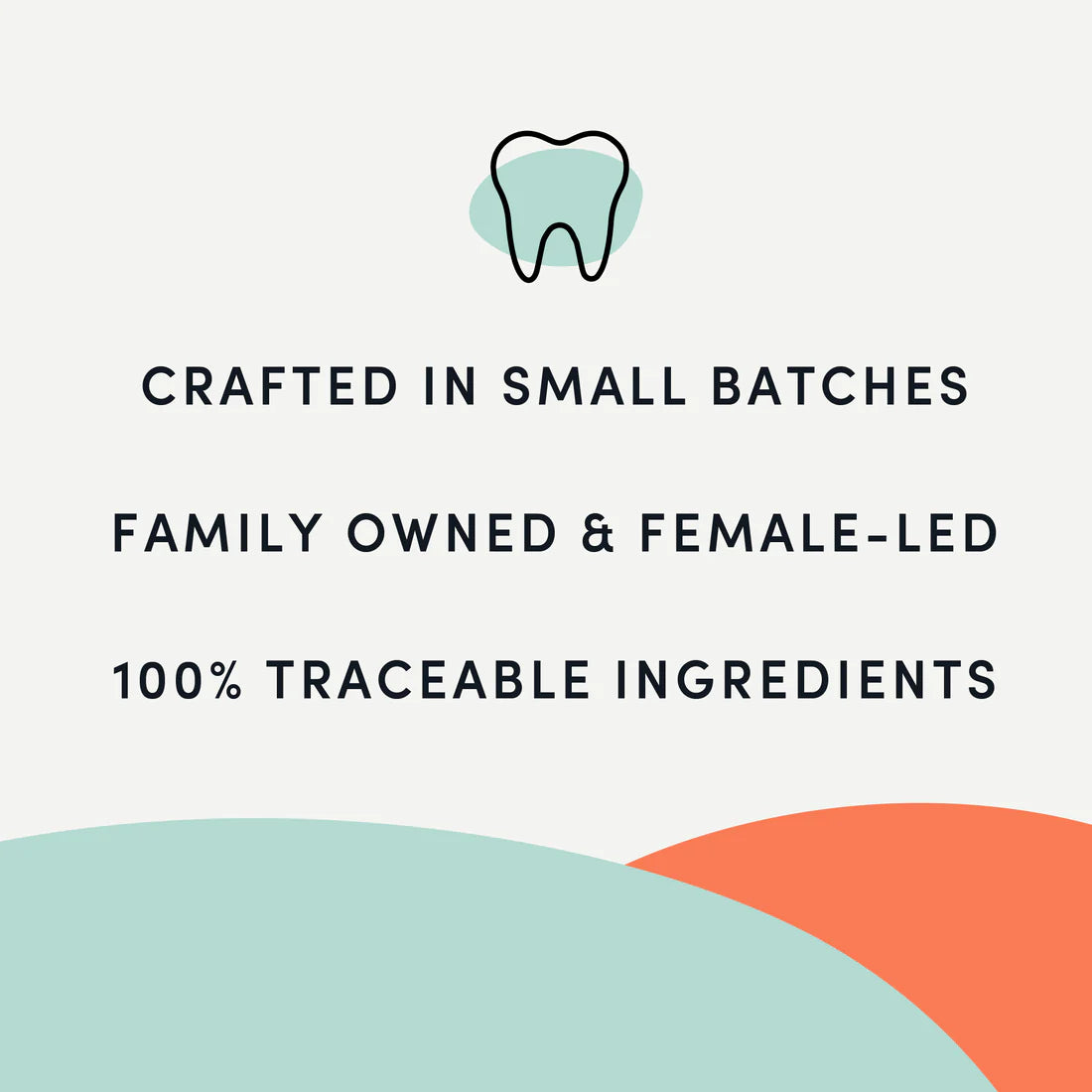 Plaque Busters Advanced Whole Mouth Dental Sticks