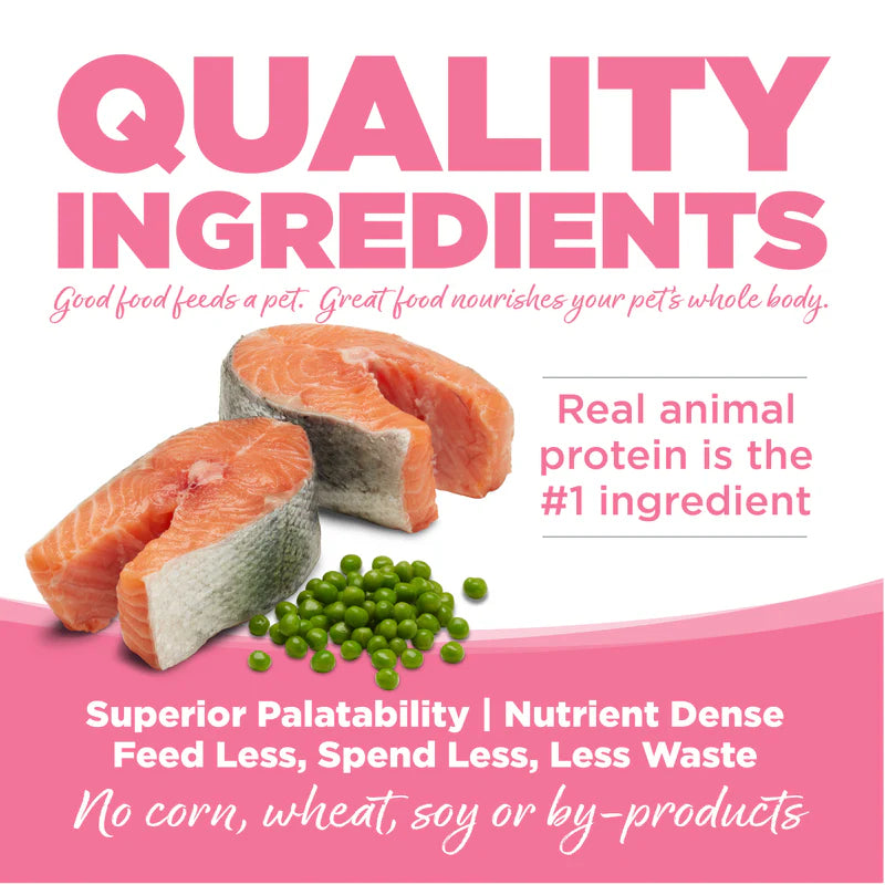 Salmon & Peas Entrée Dog Food