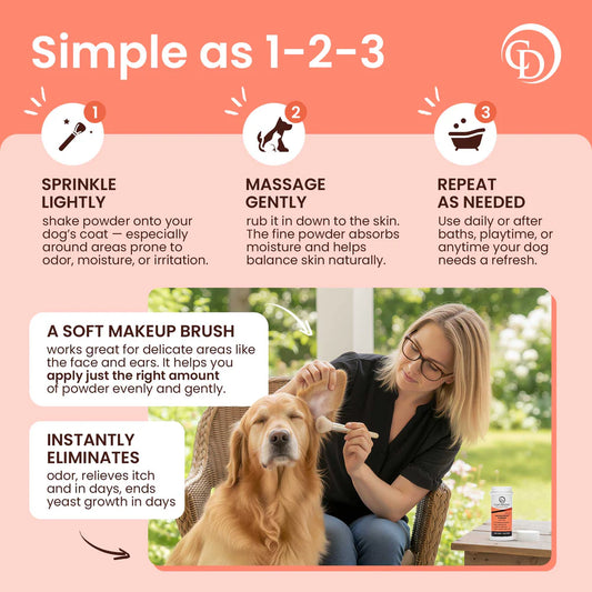 Paw Licker Bundle
