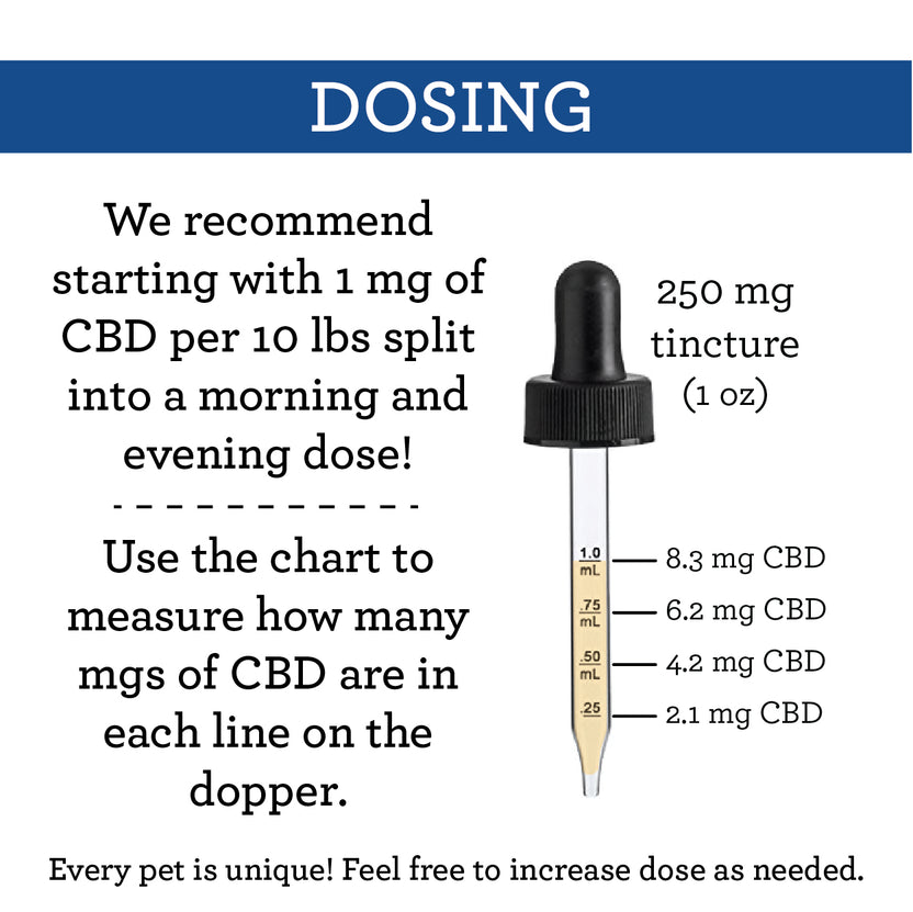 Suzie's 250 mg CBD Oil for Dogs