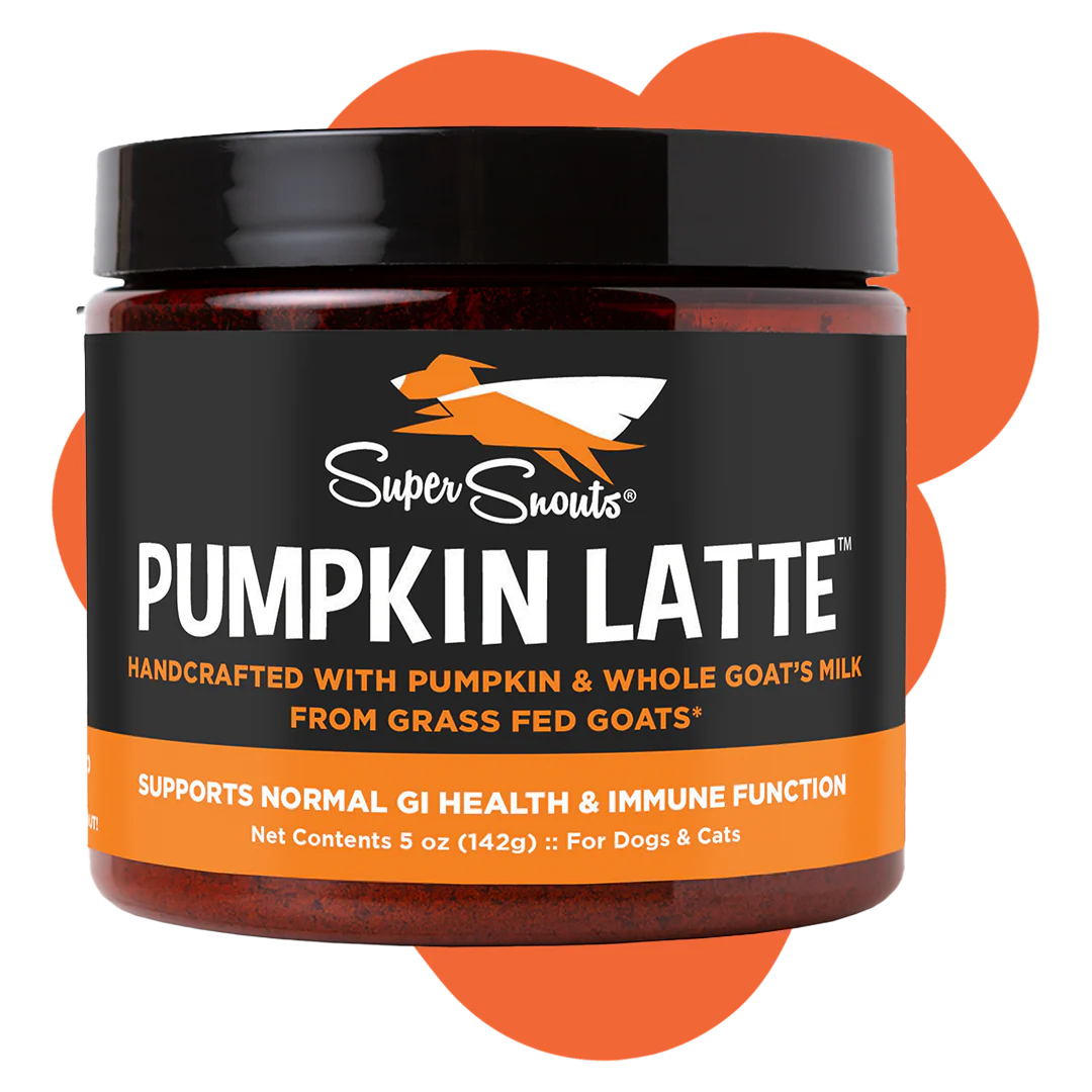 Super Snouts Pumpkin Latte 5 oz