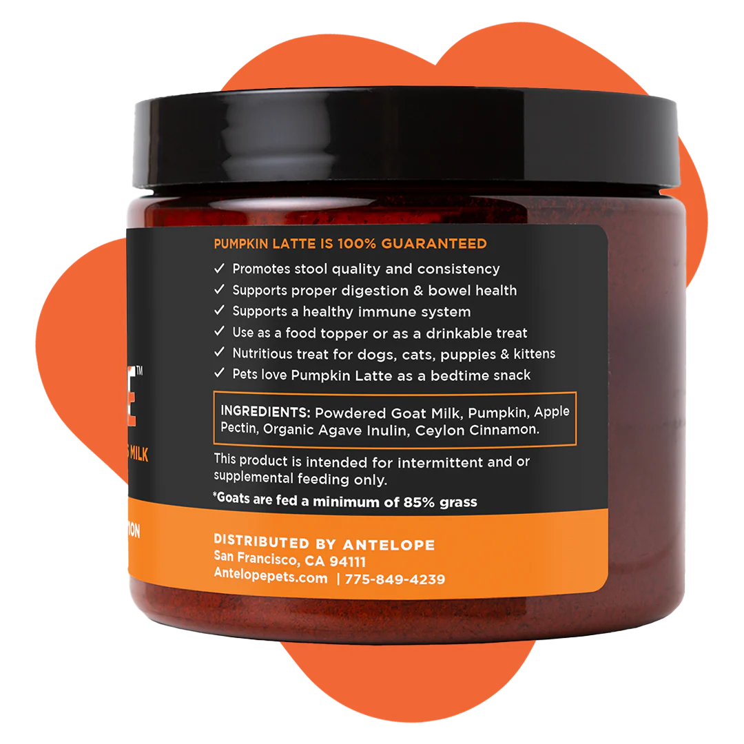 Super Snouts Pumpkin Latte 5 oz
