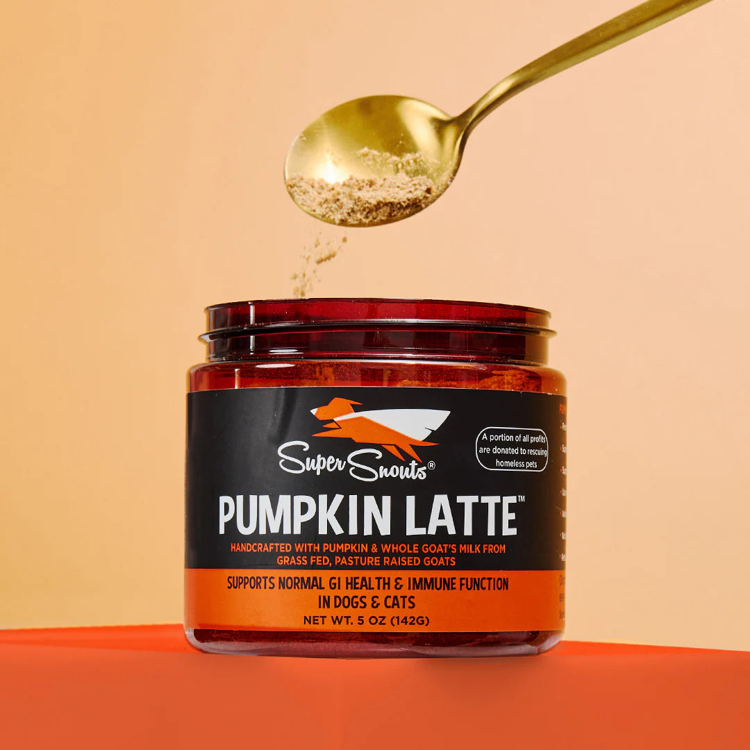 Super Snouts Pumpkin Latte 5 oz