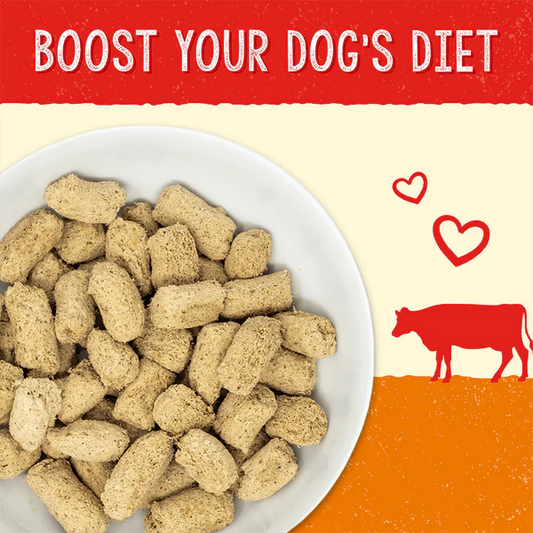 Stella’s Solutions Digestive Support for Dogs