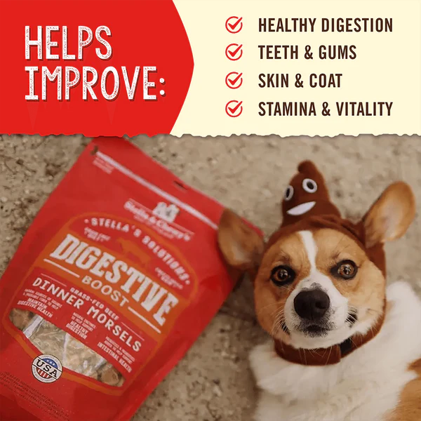 Stella’s Solutions Digestive Support for Dogs