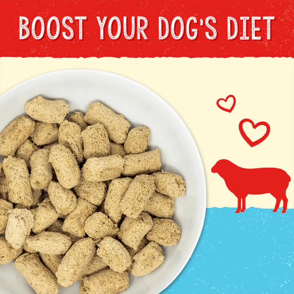 Stella’s Solutions Immune Support for Dogs