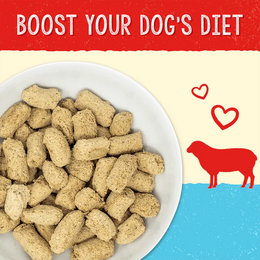 Stella’s Solutions Immune Support for Dogs