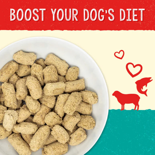 Stella’s Solutions Skin & Coat Support for Dogs