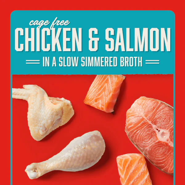 Stella's Shredrs Chicken & Salmon Recipe in Broth for Dogs