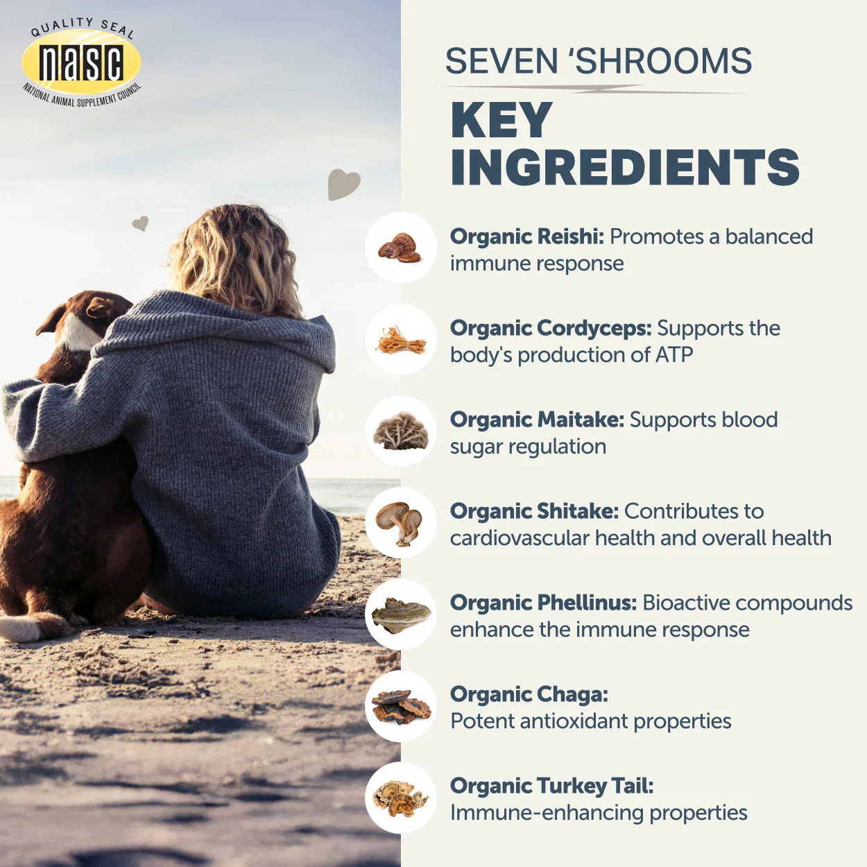 Seven 'Shrooms - Organic Mushroom Mix