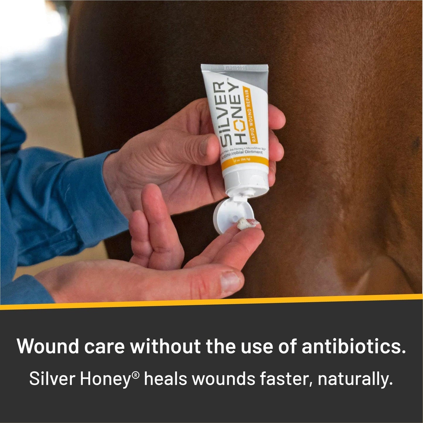 Silver Honey Rapid Wound Repair Ointment 2 oz