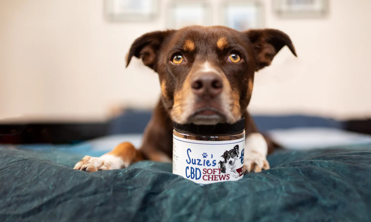 Suzie's 2 mg CBD Soft Chews
