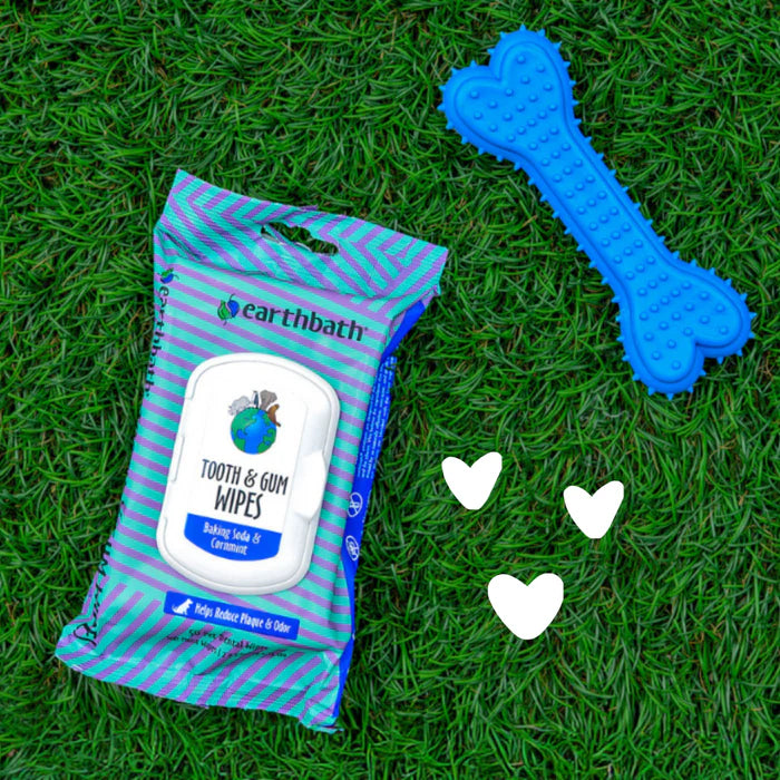 Tooth & Gum Wipes by Earthbath