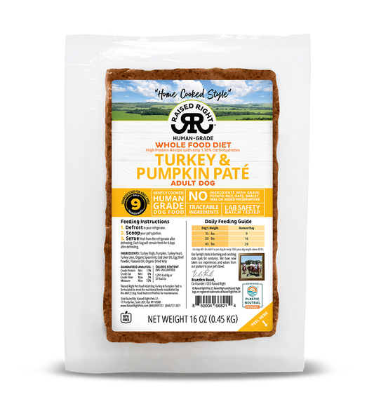 Raised Right Turkey & Pumpkin Paté for Adult Dogs