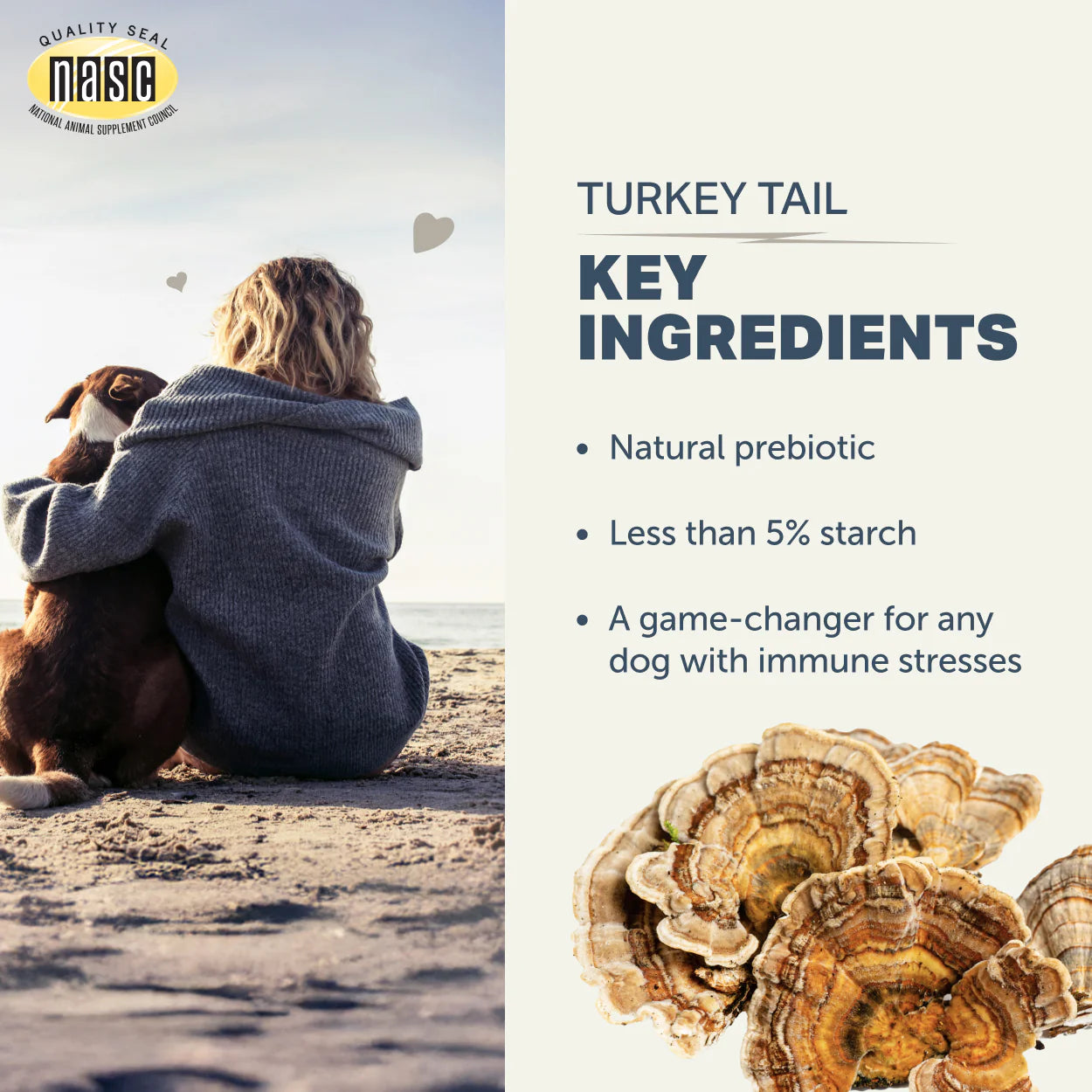 Turkey Tail - Organic Mushroom Extract