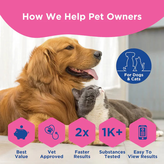 Pet Intolerance Test Kit (Elite)