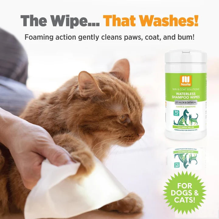 Waterless Shampoo Wipes with Aloe and Oatmeal Cucumber Melon