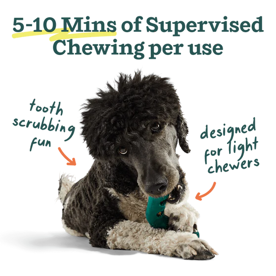 Woof Bite n' Brush Refills