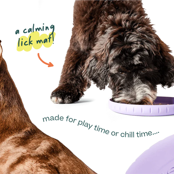 Woof Fly n' Feed